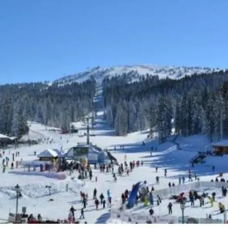 Milmari S70 * Копаоник