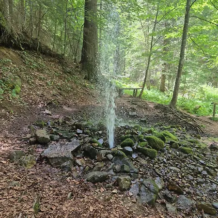 Апартаменты Milmari S70 Копаоник