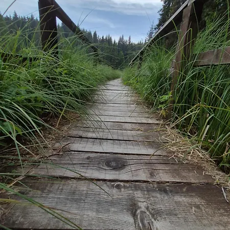 Milmari S70 Копаоник