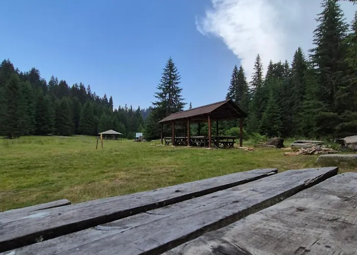 Daire Milmari S70 Kopaonik