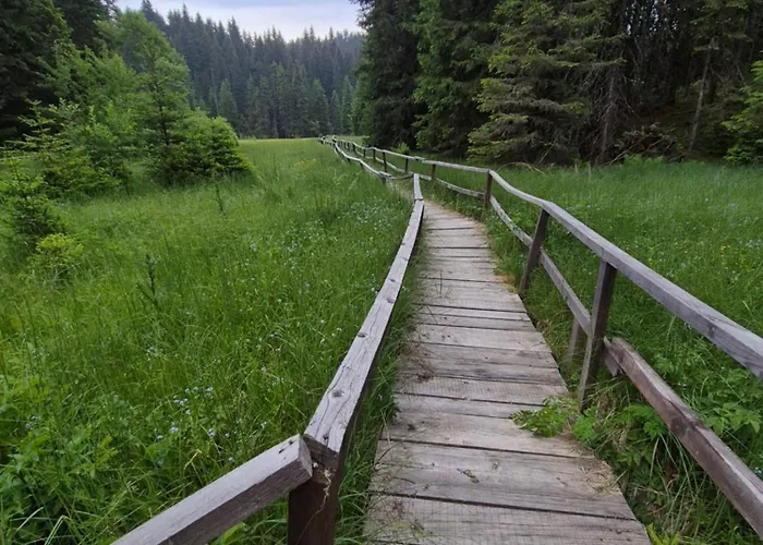 Milmari S70 Daire Kopaonik