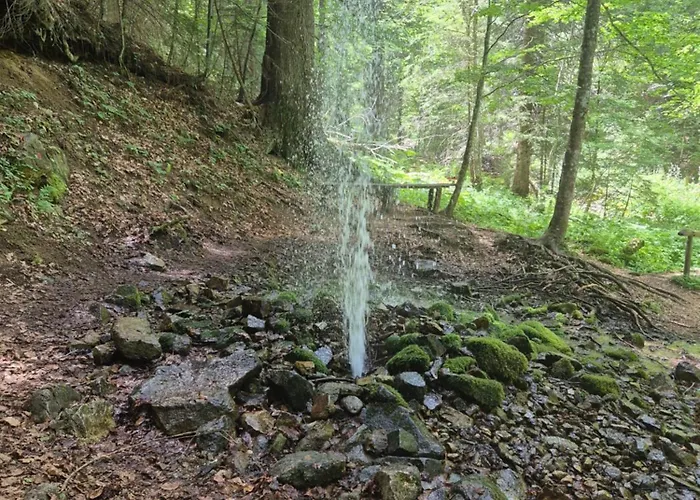 Daire Milmari S70 Kopaonik