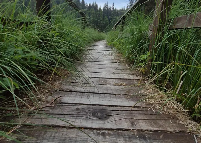 Milmari S70 Kopaonik