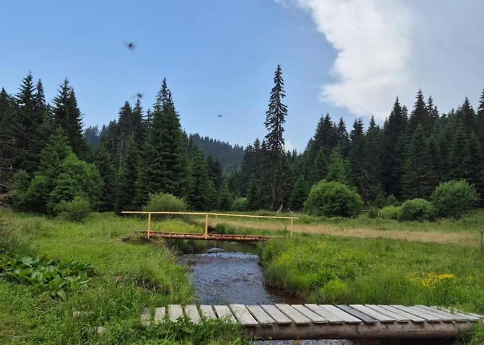 Milmari S70 * Kopaonik